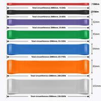 FITNESS Ensemble de bandes de résistance fitness personnalisées avec logo 208 cm - Bandes d'exercice durables et écologiques