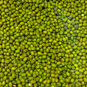Haricots Verts Indiens Moong Premium, Nouvelle Récolte Fraîche, Légumineuses Entières pour les Acheteurs Mondiaux de Produits Alimentaires - Product Image 1