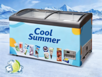 Congélateur coffre commercial Pusen à refroidissement direct, congélateur à glaces de comptoir, 2 portes, double étagère
