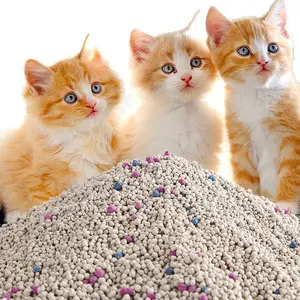 Vendita calda di lettiera per gatti OEM / ODM Multi fragranza resistente alla polvere di sabbia di gatto Bentonite