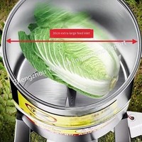Commerciële Huis Groentechopper Ui Knoflook Wortel Kool Fruit Shredder Snijmachine