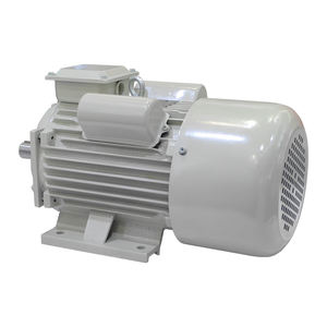 YC-100L-2 ieck 50hz 60hz 220v 2.2kw 3hp 3000RPM अतुल्यकालिक प्रेरण एकल चरण एसी इलेक्ट्रिक मोटर - Product Image 4