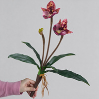 Model Penjualan Bunga Piphidium Paphiopedilum Berkualitas Tinggi, Desain Floral untuk Ruangan, Dekorasi Rumah Anggrek
