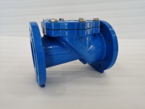 Dn100pn10 डबल फ्लैंज रबर बैठे स्विंग चेक वाल्व - Product Image 3