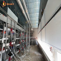 Système de cages à poulets automatiques de type H moderne pour les fermes avicoles commerciales sur le marché d'Asie du Sud-Est