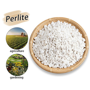 <span class=keywords><strong>Perlite</strong></span> blanche de qualité horticole, drainage rapide, poreuse, légère, anti-compactification du sol, pour plantes succulentes, cactus, orchidées, bonsaïs - Product Image 6