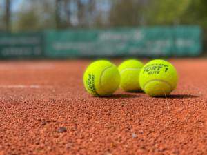 Özel profesyonel pembe Padel topları karbon Fiber ve yün profesyonel plaj tenis topları üretici tarafından el yapımı - Product Image 2