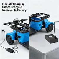 Tricycle électrique pliable pour adultes en stock dans l'entrepôt de l'UE, vélo électrique à 3 roues avec batterie amovible, panier avant, siège confortable, idéal pour les voyages