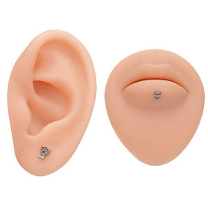 Gioielli per Piercing in Titanio ASTM F136 con Filettatura Interna a Forma di Teschio 16G 8mm Punk per Helix Labbra Orecchie - Product Image 4