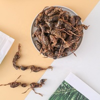 Friandises pour chats et chiens à base de cailles lyophilisées, riches en protéines, sans céréales, sans additifs, en-cas naturels