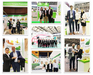 HONGDA Заводская поставка водорастворимый пищевой пигмент натрия Медь Хлорофилл 100% порошок экстракта листьев тутового дерева - Product Image 5