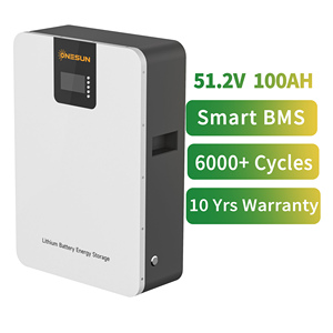 Batterie au lithium pour stockage d'énergie, 5,12 kWh, 51,2 V, 100 Ah, rechargeable, murale, W-PRO-W51.2V100AH Lif - Product Image 5