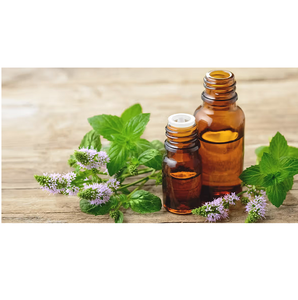 Huile essentielle de menthe poivrée naturelle, huile végétale pure, huile aromatique à la menthe fraîche pour les soins de la peau et des cheveux, aromathérapie et usage cosmétique, approvisionnement en vrac - Product Image 3