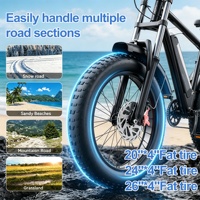 Kit de conversion de vélo électrique à pneus larges 250W-3000W 26*4.0 24*4.0 20*4.0 Kit de vélo électrique à double transmission pour vélo de neige et de plage