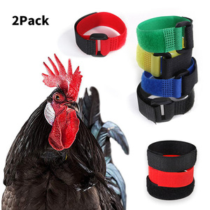 <strong>Goose</strong> Rooster Accessories Farm 2pcs Chicken <strong>Collar</strong> Nylon <strong>Neck</strong> Belt Noise Free Neckband Anti-hook for Poultry Hen Duck