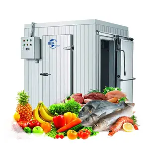 Mobile Cold Room Container Frozen Blast Freezer Room Walk In Cooler Frozen Cold Storage Room For Meat And Fish