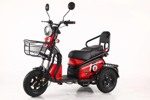 Tricycle électrique à prix de gros d'usine, vitesse unique, 48V 600W, cadre en acier à haute teneur en carbone pour la famille - Product Image 1