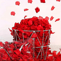Échantillon Gratuit : Ensemble de Fleurs Séchées Pressées – 6 Types, 18 Pièces (Hydrangea Rouge, Rose, Chrysanthème, Fougère, Gypsophile) – Idéal pour Bricolage et Artisanat Réutilisable