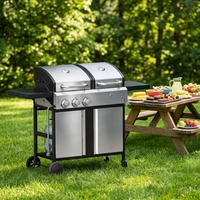 Barbecue au charbon de bois en acier inoxydable de haute qualité + grill à gaz à 3 brûleurs avec table latérale