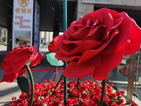 3 Pièces de Fleurs en Papier Rouge, Roses Artificielles, Décorations de Mariage et de Fêtes - Roses Géantes de 100 cm, Nouvel An Chinois, Fête des Mères, Style Européen