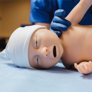 Simulador Médico de Silicona de Alta Gama <span class=keywords><strong>Mia</strong></span> de POYTON MEDVISION - Product Image 2