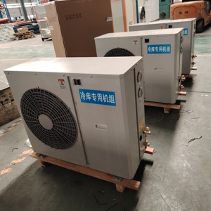 2HP 3HP 4hp 5hp ngưng tụ đơn vị cho đi bộ trong phòng lạnh đi bộ trong tủ đông ngưng tụ đơn vị - Product Image 6