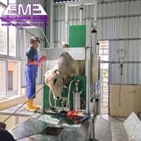 Mesin Rumah Potong Hewan Sapi Bersertifikat Halal Jalur Pemotongan Daging Sapi Baja Tahan Karat 304 Kontrol Otomatis Produktivitas Tinggi