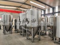 Cuve de Fermentation Multifonctionnelle à Double Enveloppe, Volume Personnalisé, en Acier Inoxydable pour Bière, Cidre et Vin de Fruits