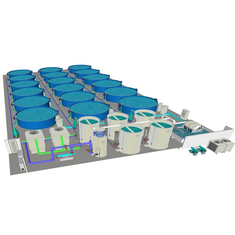 Ras Shrimp Aquaculture Systems, Recirculating Equipment, System Design