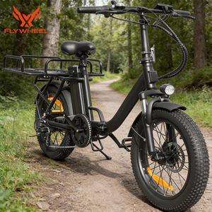 Bicicleta Eléctrica de Carga de 7 Velocidades, 20*3.0 Pulgadas, 48v 13ah 500w, con Frenos de Disco Hidráulicos - Product Image 1