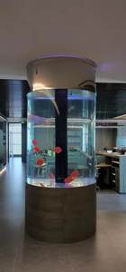 Best Seller commerciale grande acquario in plastica acrilica acquario 40 galloni - Product Image 5