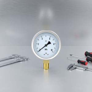 초정밀 산업용 스테인리스 스틸 압력계 컴팩트 사이즈 100kpa 캡슐 압력계 - Product Image 1