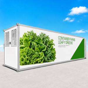 <span class=keywords><strong>Granja</strong></span> en Contenedor de Envío de Grado Comercial Skyplant, Construida con Sistema de Cultivo Hidropónico Vertical Multicapa - Product Image 6
