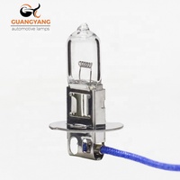 Ampoule automobile H3 24v 100w Ampoule halogène pour voiture Couleur claire