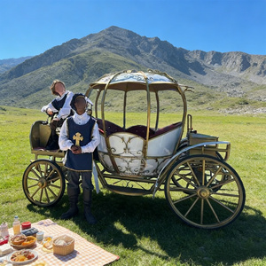 Chariot de mariage électrique Cendrillon avec de magnifiques lumières, fabricants de calèches royales - Product Image 5