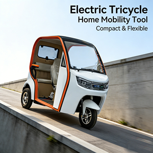 HOT SALES 60v 800W Electric-tricycle Three-Wheeled Open Body Design with <strong>2</strong> <strong>Passengers</strong> and 90km Range - Product Image 4