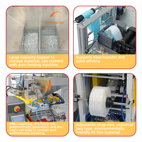 Machine de comptage et d'emballage industrielle DGAX automatique électrique avec système PLC pour petits sachets et lots de injections de bureau