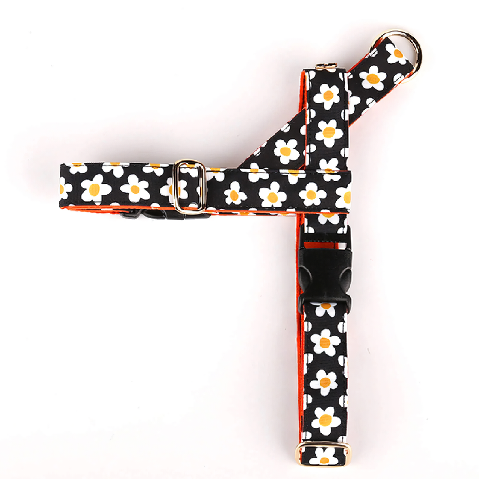 ดอกไม้ชนิด Y