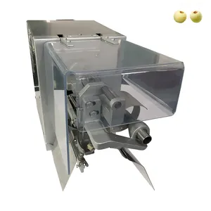 Machine à éplucher les pommes oranges Machine à éplucher l'ail propre de qualité trieuse électrique industrielle Machine à éplucher les kiwis