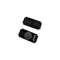 Wangsheng WS-Audio-250609 16mm*30mm 8Ohm 2W Haut-parleur professionnel à coque plastique avec unité de commande magnétique interne carrée pour