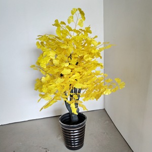 Fábrica personalizada grande al aire libre árbol de Ginkgo <span class=keywords><strong>Artificial</strong></span> 3M alta simulación paisaje árboles centro comercial escénico plástico - Product Image 2