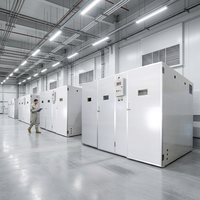Incubateur d'œufs 12672, meilleur prix, bon marché, taux d'éclosion élevé, couveuse pour usage agricole