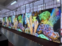 Panneaux muraux Led pour extérieur P1.9 P2.6 P2.9 P3 P3.91 Écran Led externe Vert Led Display Location Board Panel Stage Led Screen
