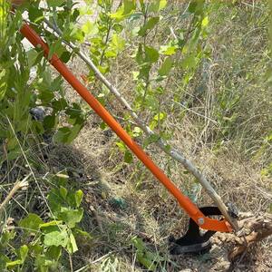 Strumento di tiratura ad <span class=keywords><strong>alberello</strong></span> di grandi dimensioni resistente asta ad alta leva per albero per vasi di fiori e fioriere - Product Image 2