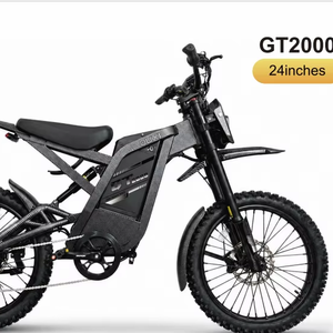 Vélo à pneus larges GT2000 24 pouces, moteur 1500W, batterie 48V 30AH, double suspension, vélo électrique hydraulique 50 km/h - Product Image 1