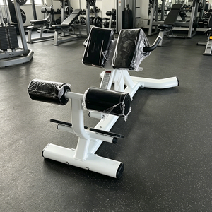 Chaise romaine multifonctionnelle à <span class=keywords><strong>prix</strong></span> d'usine, appareil <span class=keywords><strong>professionnel</strong></span> d'entraînement du bas du dos, équipement de fitness pour la maison et les salles de sport commerciales - Product Image 1