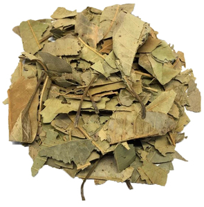 مستخلص أوراق المانجو عالي الجودة من هيلثواي، مسحوق مستخلص أوراق المانجو بدرجة غذائية - Product Image 2