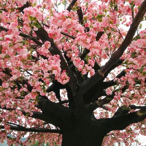 Arbol árvore de flor de cerejeira artificial vermelha