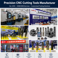 Inserto de Carburo TNMG para Torneado, Herramienta de Torno CNC Indexable con Recubrimiento de TiN para Acero Inoxidable, Suministro de Fábrica de Alta Calidad