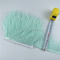 Frange de plumes d'autruche 1, 2 ou 3 plis, 8-10 cm, en gros, pour vêtements, garniture en plumes d'autruche pour accessoires de robe de fête de carnaval